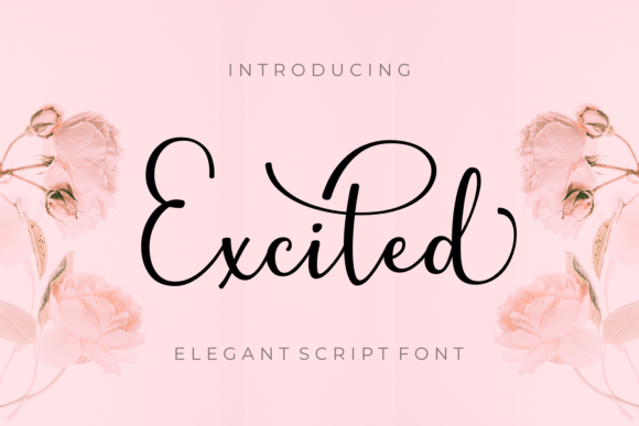 Elevate Your Web Design with Excited Font
