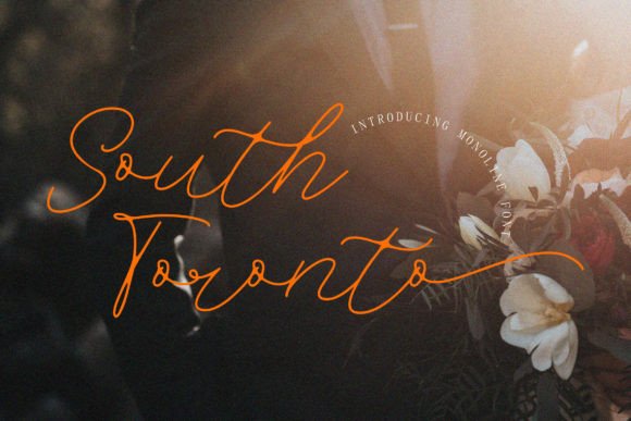 South Toronto: A Stylish Script Font for Web Design
